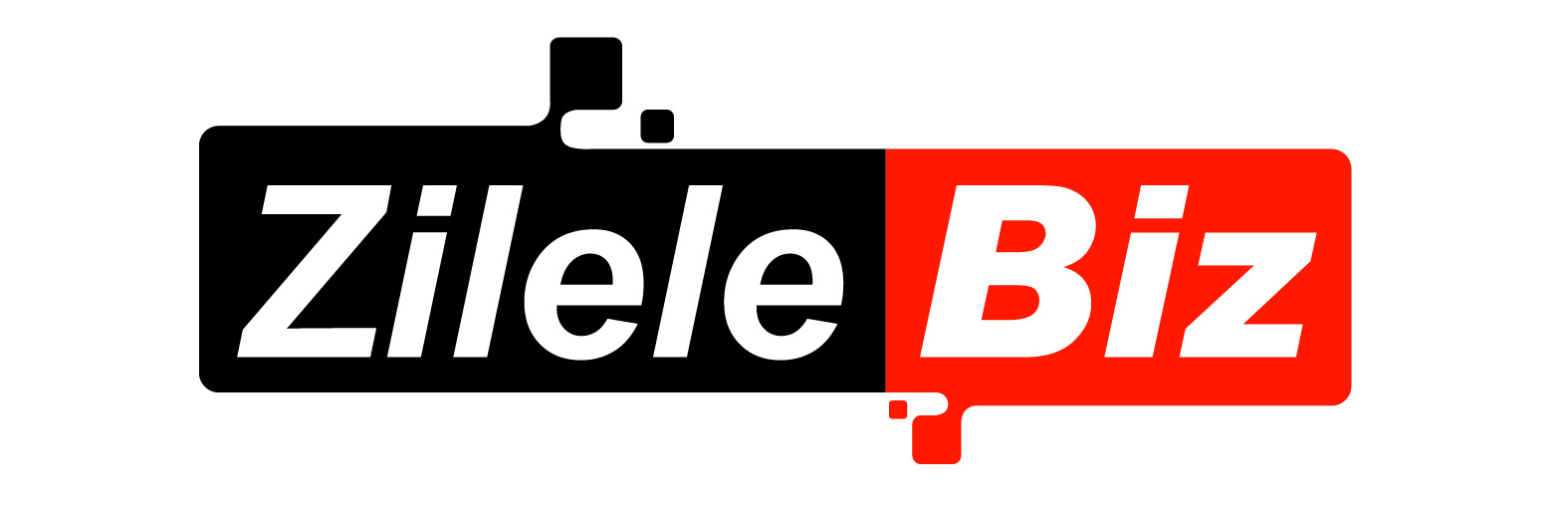 Zilele Biz